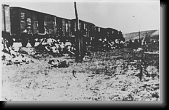 Corpses are removed from the Iasi death train during a stop on the journey. * 495 x 315 * (58KB)